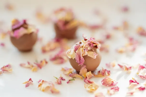 JokerBet Casino App Android/iOS